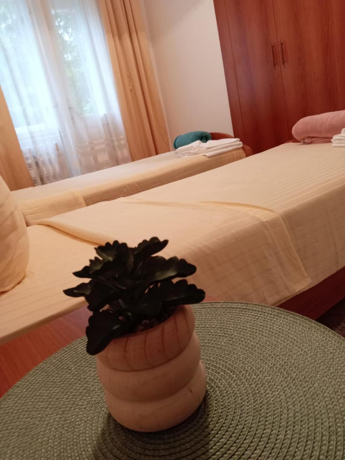 Hotel Vlasina - Vlasinsko Jezero Власина-Рид Экстерьер фото
