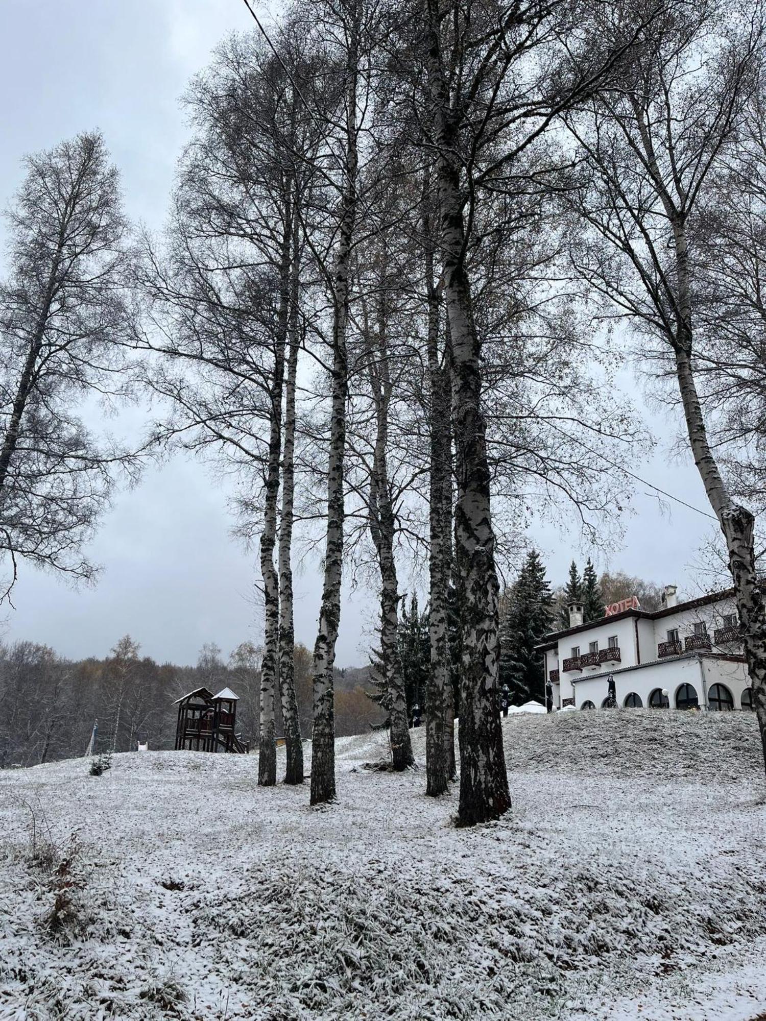 Hotel Vlasina - Vlasinsko Jezero Власина-Рид Экстерьер фото
